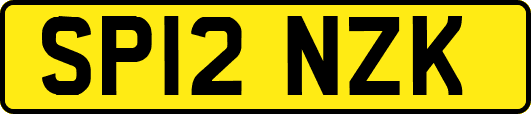 SP12NZK