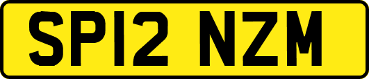 SP12NZM