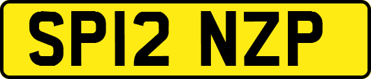SP12NZP