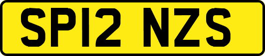 SP12NZS