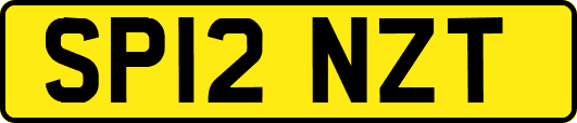 SP12NZT