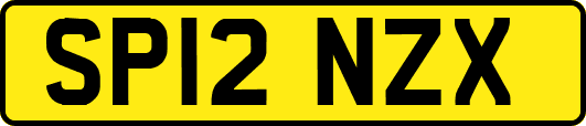 SP12NZX