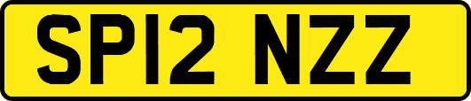 SP12NZZ