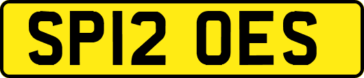 SP12OES