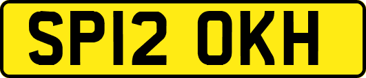 SP12OKH