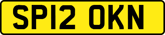 SP12OKN