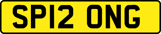 SP12ONG
