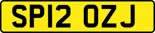 SP12OZJ