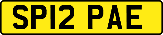 SP12PAE