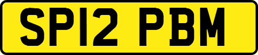 SP12PBM