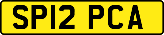 SP12PCA