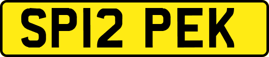 SP12PEK