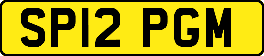 SP12PGM