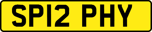 SP12PHY