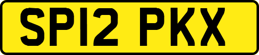 SP12PKX