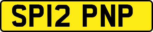 SP12PNP
