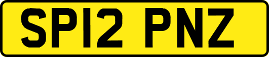SP12PNZ