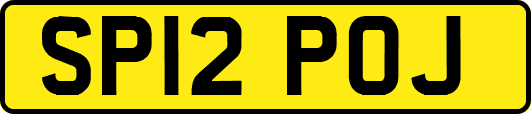 SP12POJ
