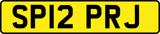 SP12PRJ