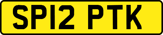 SP12PTK