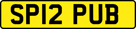 SP12PUB