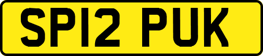 SP12PUK
