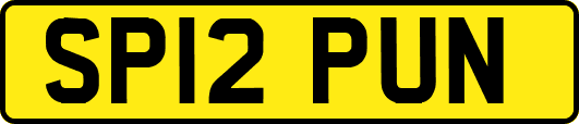 SP12PUN