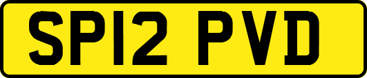 SP12PVD