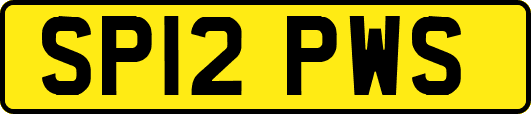 SP12PWS