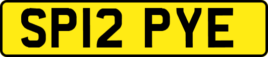 SP12PYE