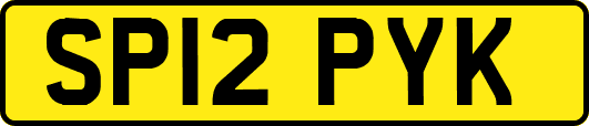 SP12PYK