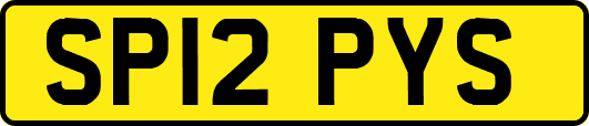 SP12PYS