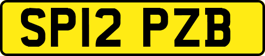 SP12PZB