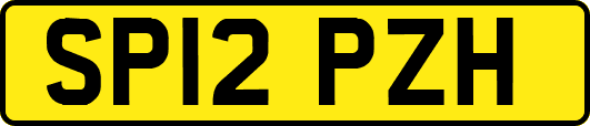 SP12PZH
