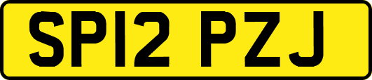 SP12PZJ