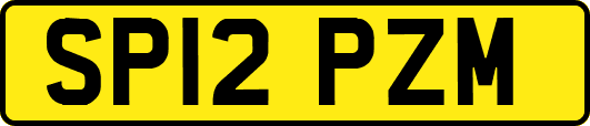 SP12PZM