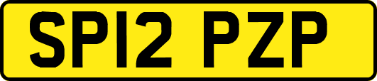 SP12PZP