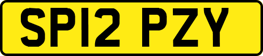 SP12PZY