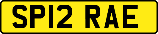 SP12RAE
