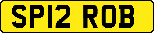 SP12ROB