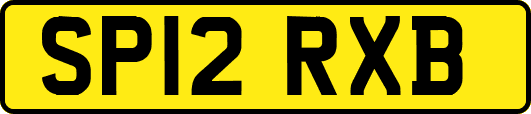SP12RXB