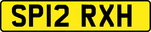 SP12RXH