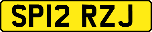 SP12RZJ