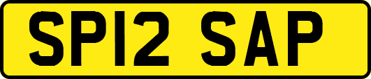 SP12SAP