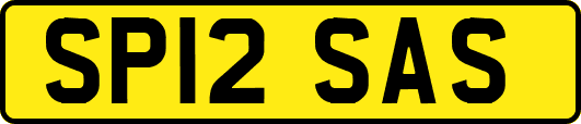 SP12SAS
