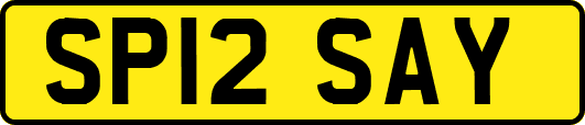 SP12SAY
