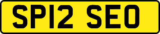 SP12SEO