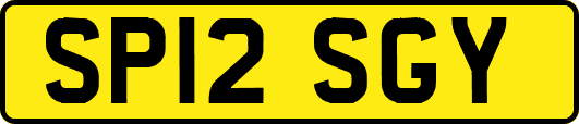 SP12SGY