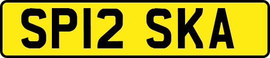 SP12SKA