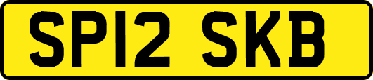 SP12SKB